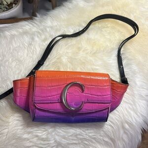 Chloe Ombré Crocodile Leather Belt Bag Crossbody Handbag Purse